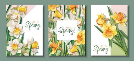 Set of Greeting card templates with spring flowers. Banner, poster with daffodils. Easter illustration of delicate flowers in cartoon style for card, invitation, background, etc. vector
