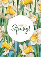 saludo tarjeta modelo con primavera flores bandera, póster con narcisos Pascua de Resurrección ilustración de delicado flores en dibujos animados estilo para tarjeta, invitación, fondo, etc. vector