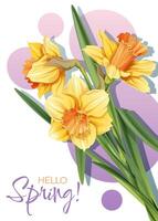 Greeting card template with spring flowers. Banner, poster with daffodils. Easter illustration of delicate flowers in cartoon style for card, invitation, background, etc. vector