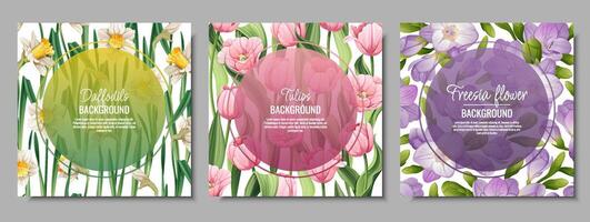 conjunto de bandera plantillas con primavera flores tarjeta postal, póster con tulipanes, narcisos, fresia ilustración de delicado flores en dibujos animados estilo para tarjeta, invitación, fondo, etc. vector