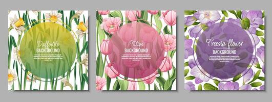 Set of banner templates with spring flowers. Postcard, poster with tulips, daffodils, freesia. illustration of delicate flowers in cartoon style for card, invitation, background, etc. vector