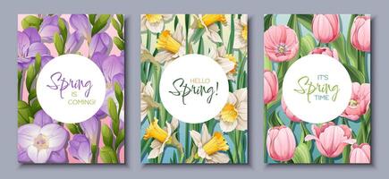 Spring is near with beautiful flower arrangements on three cards vector