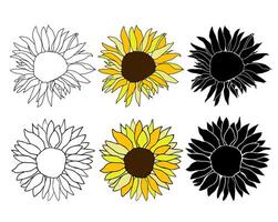 Sunflower head flower vector