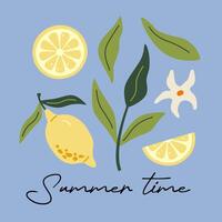 Modern abstract illustration lemon with leaves. Modern art print. Set of citrus tropical fruits. Summer design. vector