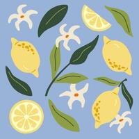 Modern abstract illustration lemon with leaves. Modern art print. Set of citrus tropical fruits. Summer design. vector