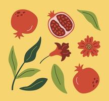 Modern abstract illustration pomegranate with leaves, branches and flowers. Fruit pattern. Design for card. vector