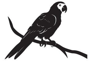 parrot silhouettes pro design vector