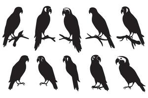 Set of silhouette parrots free design vector