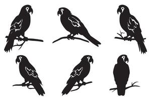 Set of silhouette parrots free design vector