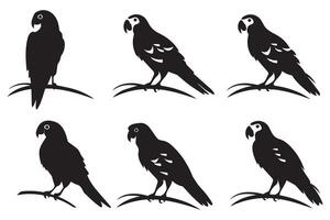 Set of silhouette parrots free design vector