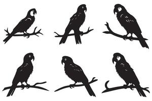 Set of silhouette parrots free design vector
