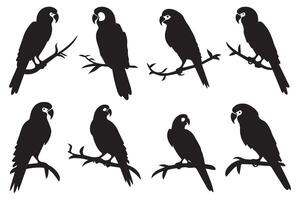 parrot silhouettes of amazon jungle isolated on white background free design vector