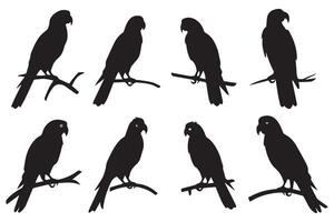 parrot silhouettes of amazon jungle isolated on white background free design vector