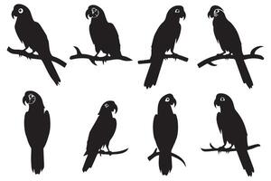 Set of silhouette parrots free design vector