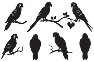 Set of silhouette parrots free design vector