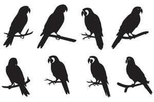parrot silhouettes of amazon jungle isolated on white background free design vector