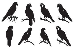 parrot silhouettes of amazon jungle isolated on white background free design vector