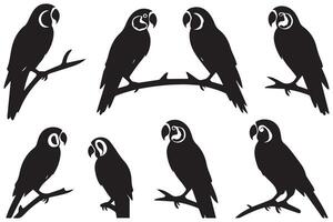 parrot silhouettes of amazon jungle isolated on white background free design vector