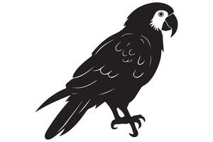 Parrot silhouette pro design vector