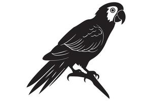 Parrot silhouette pro design vector