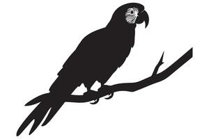 Parrot silhouette pro design vector