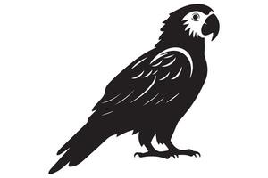 parrot silhouettes pro design vector
