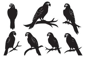 Black silhouette set of parrot on a white background free design vector