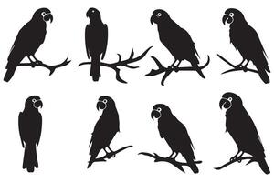 Set of silhouette parrots free design vector