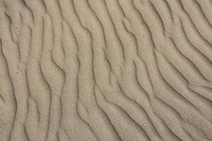 Texture of sand leveled by the wind 6 photo