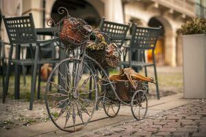 Bicycle shaped planter photo