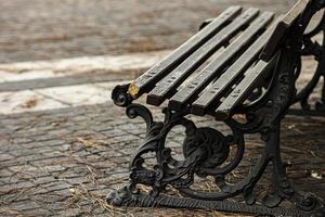 Empty of public park with wooden bench photo