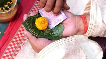 Indisch bruidegom Holding goudsbloem bloem bladeren en geld in handen gedurende een pooja voor huwelijk vervelend traditioneel Kurta Indisch Mens video