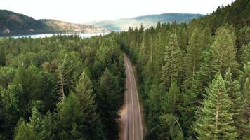 Aerial view. Forest and road in the middle with a lake at the end video