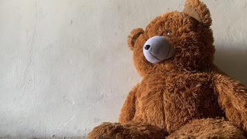 Brown teddy bear doll photo