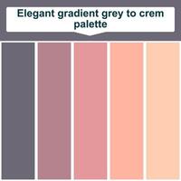 Elegant gradient grey to crem palette. 5 set color palette. Beautiful color palette vector
