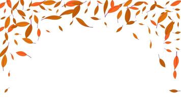 Autumn decoration frame background with blowing leaves orange and brown color vector