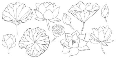 lotus flowers, leaves and buds black line art. Set of illustration. Outline floral drawing for for logo, tattoo, packaging design, compositions. Water Lily botanical design vector