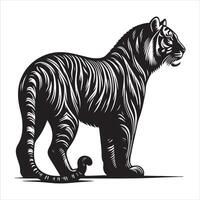 Tigre de pie, negro color silueta 6 6 vector