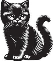 Kitty, black color silhouette, black color silhouette vector