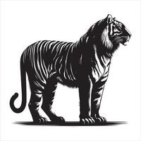 Tigre de pie, negro color silueta 6 6 vector