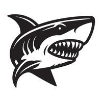 Shark illustration of a logo design vector