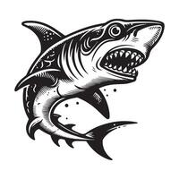 Logo of a shark illustration vector