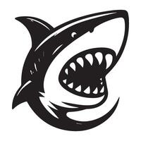 Shark of a shark vector