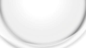 Abstract white and gray color, modern design background with curve lines. illustration. vector