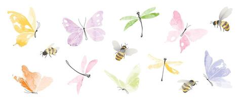 Set of insects garden elements . Collection of dragonfly, bee and butterfly colorful. Watercolor insects illustration design for logo, wedding, invitation, decor, print, card. vector
