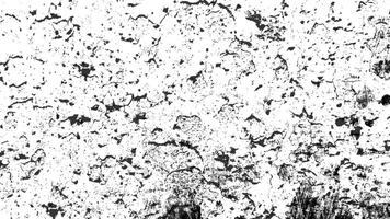 Urban Background Texture . Dust Overlay Distress Grainy Grungy Effect. Distressed Illustration. Isolated Black on White Background. vector