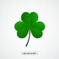 four leaf clover on a white background vector