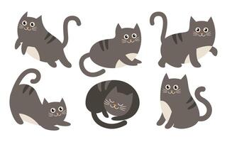 Set of cute cat cartoon characters in various poses, kitten on white background vector