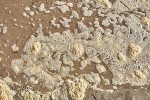 Espuma amarilla de la contaminación en la playa. foto