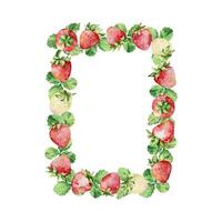 Watercolor strawberries wreath, red berries vector